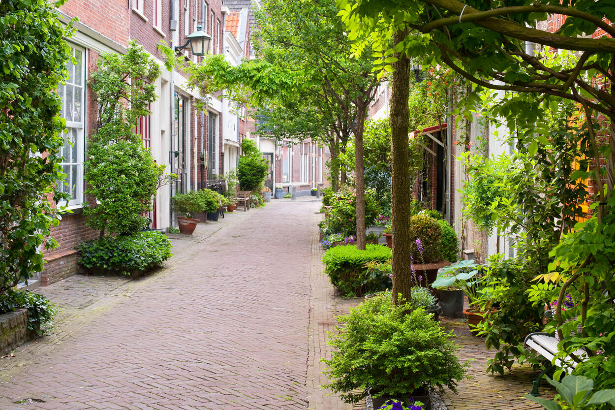 Straatje met veel groen